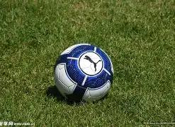 中国男冰在,亚冬会惜败,哈萨克斯坦,开云体育,开云体育官网,开云体育app,开云体育app下载