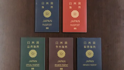 鸡蛋逆袭！揭秘互联网流量背后的神奇密码与奇幻现实